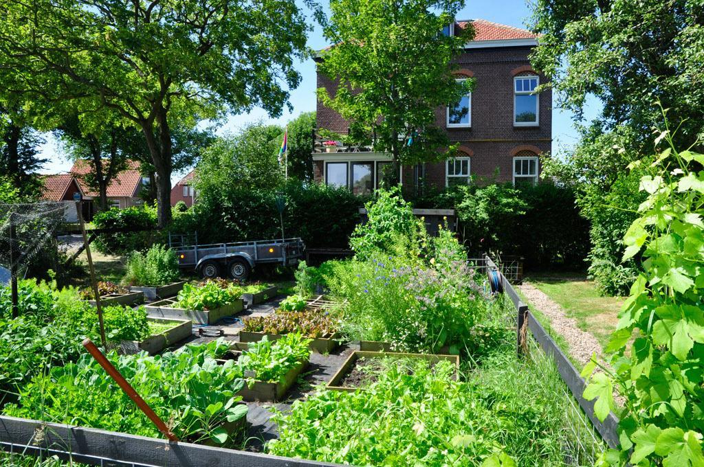 B&B De Postoari Terschelling Hoorn  Luaran gambar